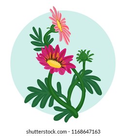 Gazania flowers isolated vector illustration 