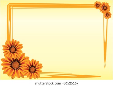 gazania flowers  with a orange border on yellow background