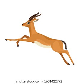 Gazelle or antelope with horn running in wildlife. African mammal animal. Vector