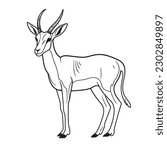 A Gazelle, a colouring book for kids, easy to colour, vector illustration, Vector, Annimals