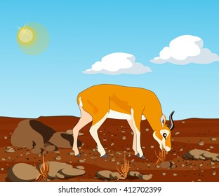 Gazelle eating wild plants. Vector illustration.