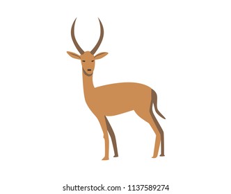 Gazelle. Flat vector illustration. Isolated on white background