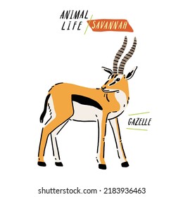 Gazelle Savannah Animal Life Hand drawn Cartoon color illustration