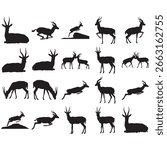 Gazelle Silhouette Collection Set Design