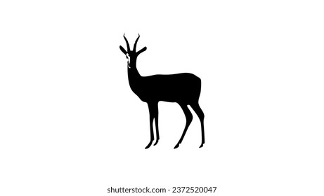 gazelle silhouette, high quality vector