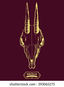 Gazelle Skull Springbok Engraving Style