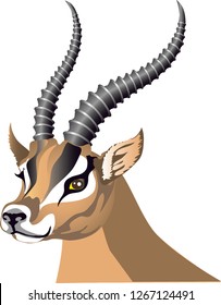 Gazelle sub Species of Antelope Head , Wild Life Animal From Savana Africa - Vector Illustration