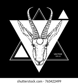 gazelle in a triangle.Can be used for printing on T-shirts, flyers and stuff abstract drawing. vector illustration.