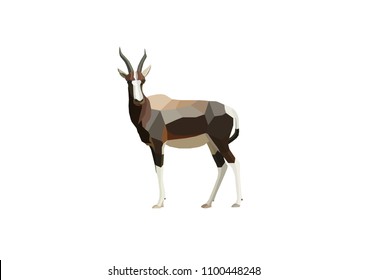 Gazelle vector image