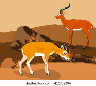 Gazelles in the natural environment. Vector illustration.