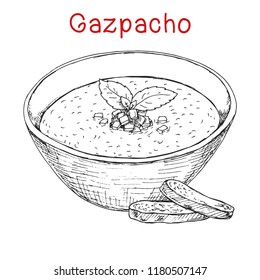 Gazpacho. Spanish soup. Vector illustration of a sketch style.