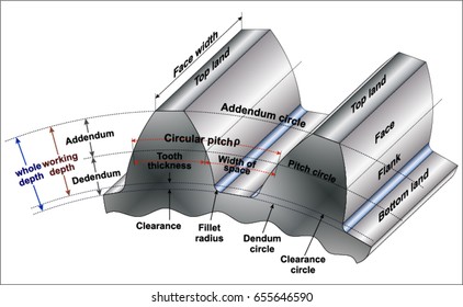 Gear Terminology