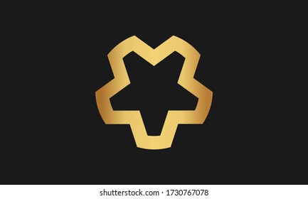 Gear vector icon. Gear icon logo with star symbol inside.