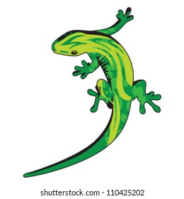 Gecko