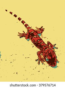 Gecko