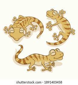 Gecko Cartoon Animals Set Collections