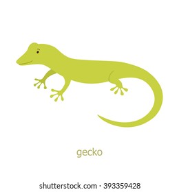 Gecko. Cartoon character. Australian lizard gecko. Zoo illustration. Wild animal. Cute reptile.