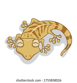 Gecko Cartoon Isolated Vector Image