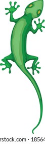 Dibujo gráfico vectorial Gecko