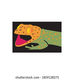 Gecko design vector ilustration icon logo templat