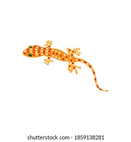 Gecko design vector ilustration icon logo templat