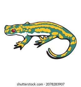 gecko digital image illustration. House lizard. vector on a white background
