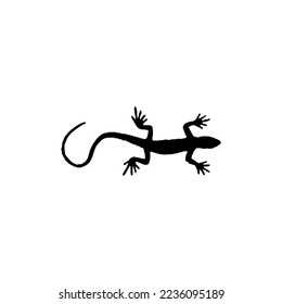 Gecko icon. Simple style reptiles info poster background symbol. Gecko brand logo design element. Gecko t-shirt printing. vector for sticker.