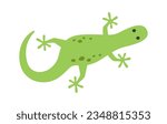 Gecko Lizard Animal Vector Illustration