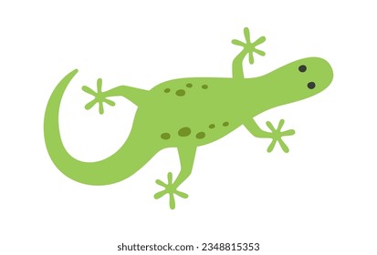 Gecko Lizard Animal Vector Illustration