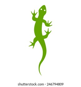 Gecko lizard flat vector icon for apps and websites