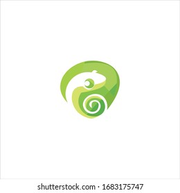 Gecko Lizard Logo Vector Design Template