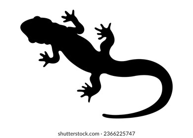 Gecko lizard or salamander silhouette. Vector illustration