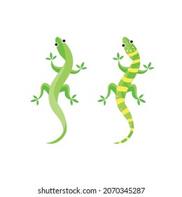 Gecko or lizard Vector illustration