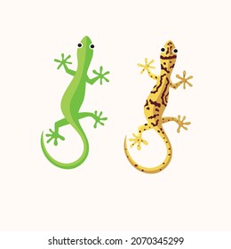 Gecko or lizard Vector illustration