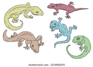 Gecko lizards wildlife animals reptiles desert dwellers set isolated on white background elements cute cartoon style hand drawn