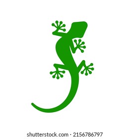 gecko logo icon vector illustration
