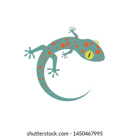 Plantilla de ilustración de icono del vector del logotipo Gecko