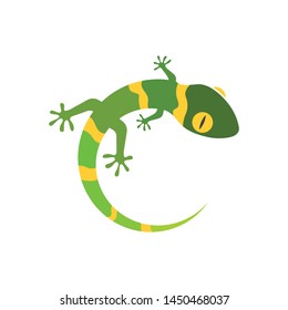 Gecko logo vector icon illustration template