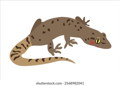 Gecko. Mediodactylus amictopholis. Vector simple color flat illustration.