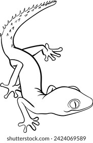 Gecko outline illustration on transparent background