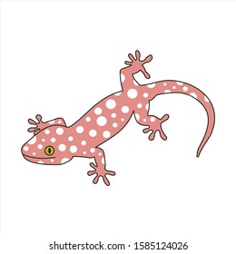 gecko pink cute vector cartoon