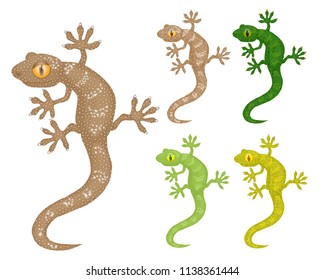 Gecko, conjunto de la misma imagen de un lagarto de diferentes colores. Ilustración vectorial, objetos aislados.