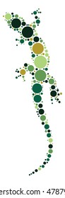gecko shape vector design by color point