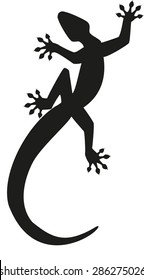 Gecko silhouette