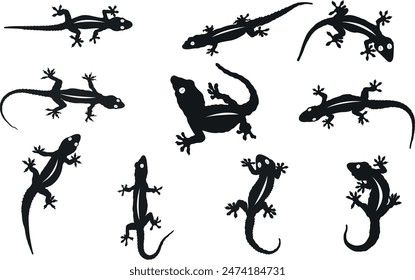 Gecko Silhouette Bundle Vector Illustration