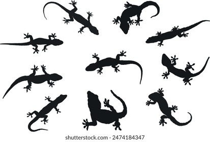 Gecko Silhouette Collection Vector Illustration