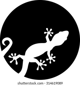 Gecko silhouette in front of moon