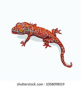 Gecko is sitting on flat gray surface. Vector illustration is isolated on background and the shadow. Gecko print for fashion clothes