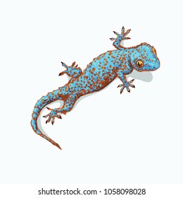 Gecko is sitting on flat gray surface. Vector illustration is isolated on background and the shadow. Geckon print for fashion clothes