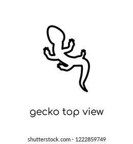 gecko top view shape icon. Trendy modern flat linear vector gecko top view shape icon on white background from thin line Brazilian icons collection, outline vector illustration